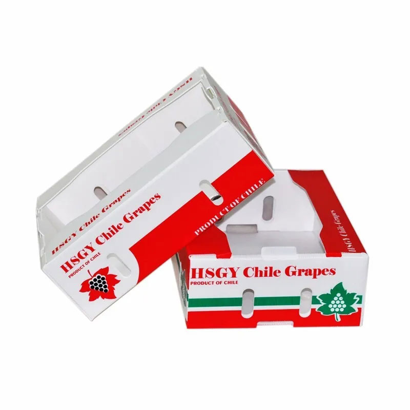 普通紙箱容易破損？泡沫箱太占空間？怎么解決果蔬海鮮物流運輸問題